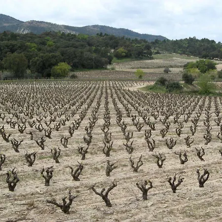 La Croix * Roquebrune-sur Argens
